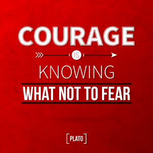 fear kills innovation